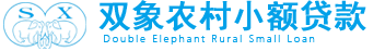 无锡新区双象农村小额贷款有限公司
